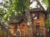 Jibhi treehouse