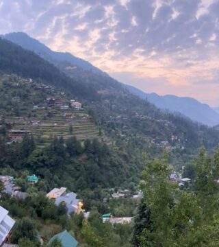 jibhi