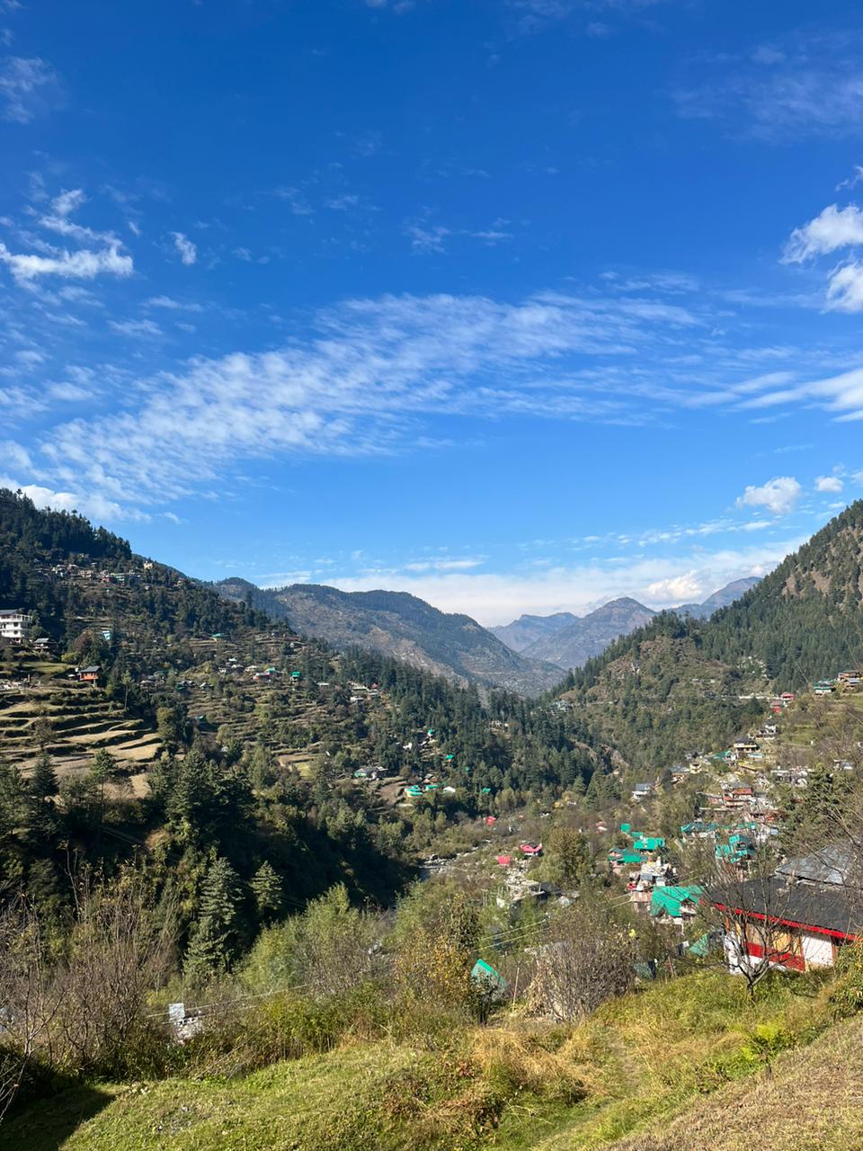 Jibhi Travel Guide