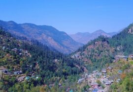 Jibhi Himachal Pradesh