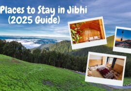 Best Places to Stay in Jibhi